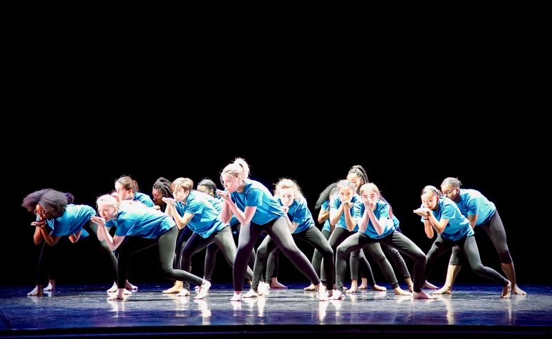 Swan Lake Curtain Raiser at Sadler's Wells