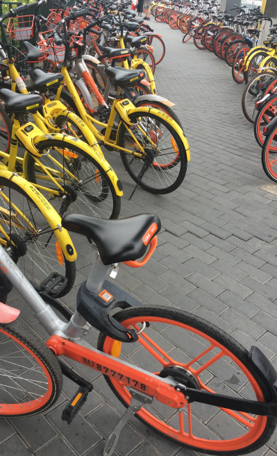 Bikes in Beijing