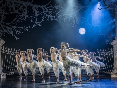 The Swans